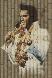 elvis_cartel