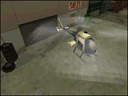 sparrow_1