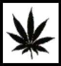 Marihuana