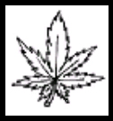 Marihuana